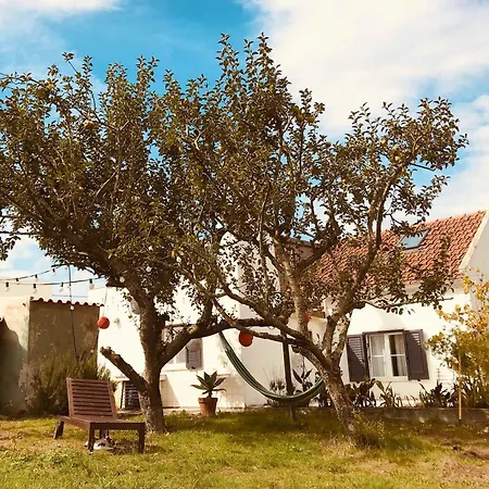 Casa Cao Charmantes Mit Garten بيت للعطل Sao Domingos (Sao Bartolomeu dos Galegos)