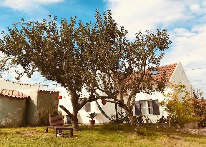 Casa Cao Charmantes Mit Garten Nyaraló Sao Domingos (Sao Bartolomeu dos Galegos)